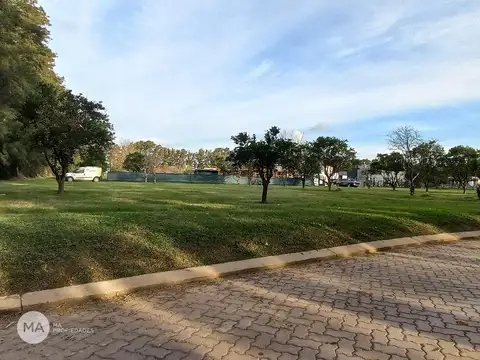 Azahares del Paraná