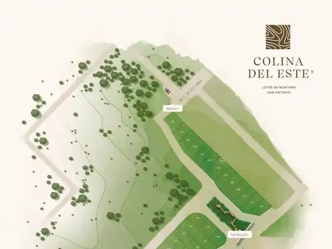 COMODORO MEISNER S/N