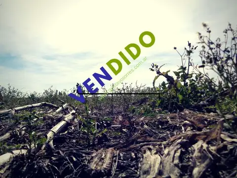 Campo en Venta cercano a ruta MUY BUEN LOTE SIN DESPERDICIOS.