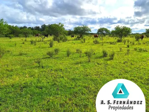 CAMPO GANADERO EN VENTA