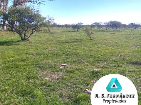 CAMPO GANADERO EN VENTA