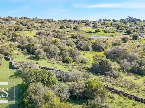 Quinta en Venta en Aigua, USD 260.000