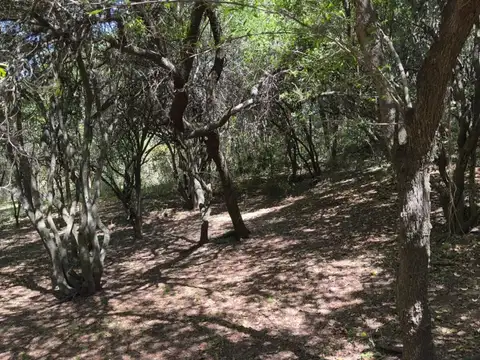 Terreno en Venta en Villa Los Altos, USD 45.000