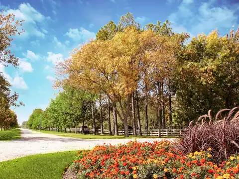 Lote interno Fincas de San Vicente LAGUNA