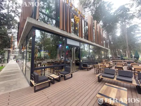 MARTIN FIERRO al 3300