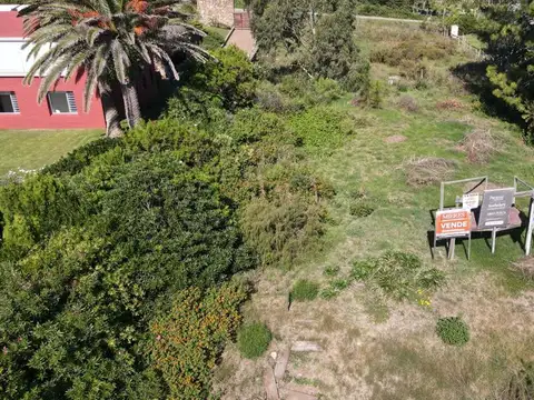 Terreno en Venta en Punta Ballena, USD 1.200.000