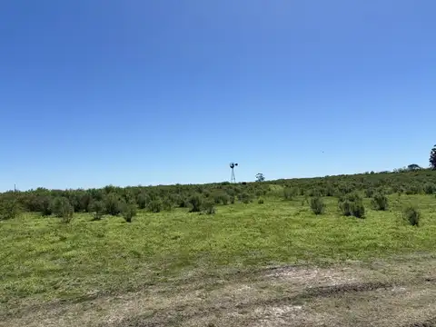 Campo en Gualeguaychu