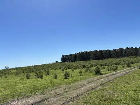 Campo en Gualeguaychu