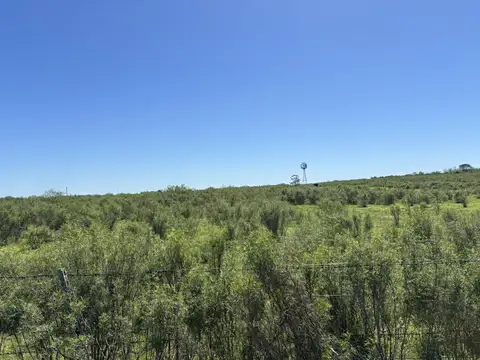 Campo en Gualeguaychu