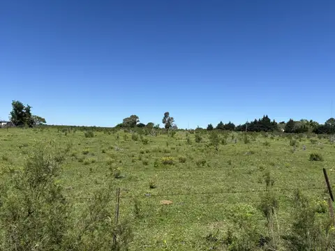 Campo en Gualeguaychu