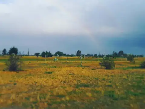 Club De Golf La Comarca