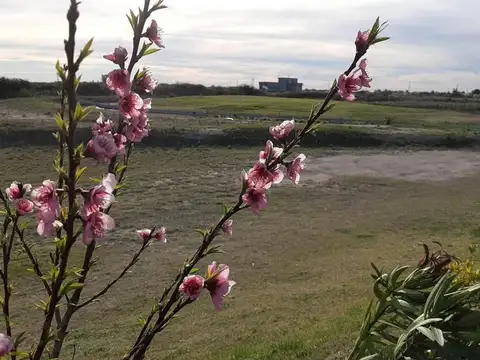 Terreno en Venta 20  mts Frente