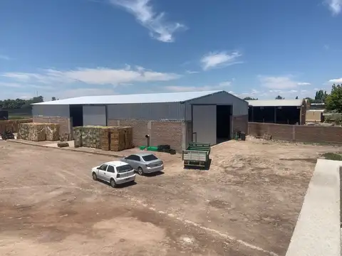 GALPON DE EMPAQUE EN VENTA