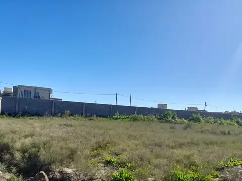 Sargento Cabral 5600