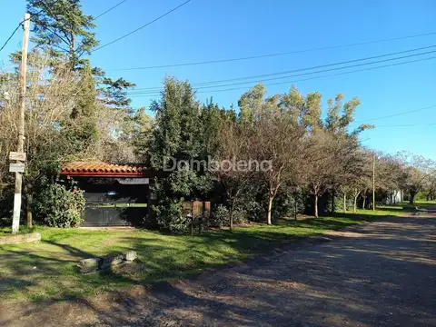 Santa Teresa De Jesus 4200