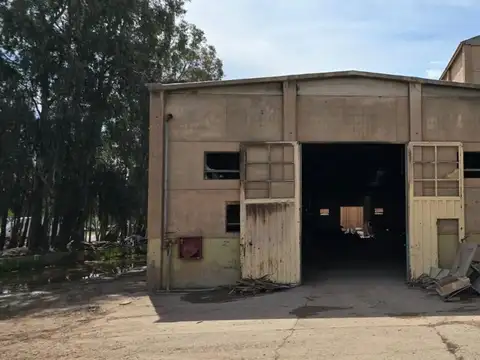 Galpon en Alquiler en Neuquen, $ 1