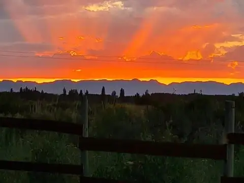 VENDO UNA HECTAREA LAS PAREDES