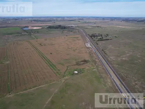 Campo - General Rodriguez