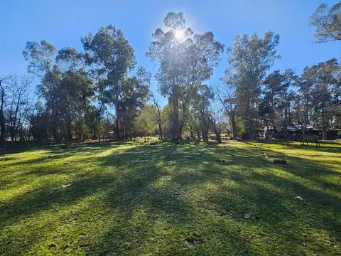 Avenida Independencia 1700