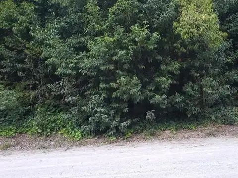 Terreno en Venta 21  mts Frente