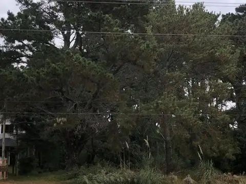 Terreno en Venta de 750,0 m2