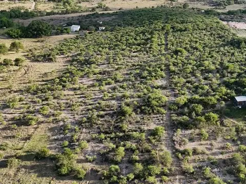 Venta 8 Hectáreas Con Una Casa Y 2 Galpones En Villa García, Tanti