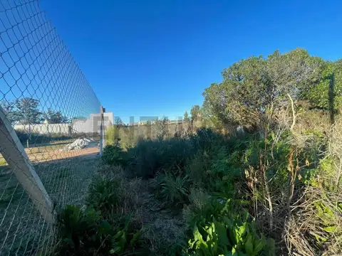 19bis entre 654 y 655 , Piso 0