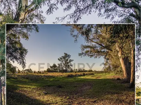 Jose A Oliveras , Piso 0