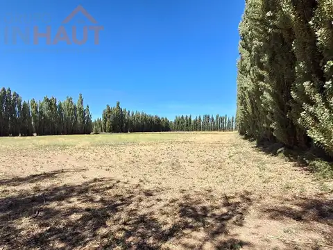 Campo en Paso Aguerre