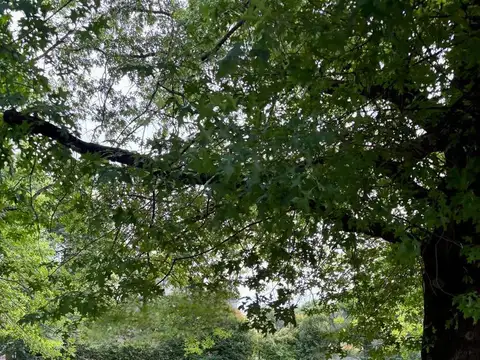 Lote en Venta Tortugas Country Club