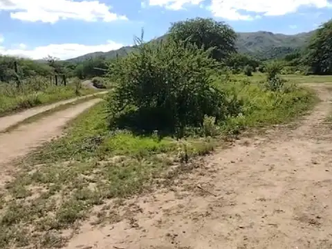 Terreno en Venta 40  mts Fondo