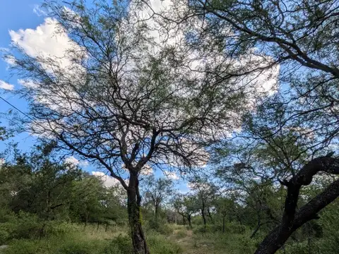 Excelente ubicación! Se venden terrenos en Villa de las Rosas, Traslasierra, Cordoba