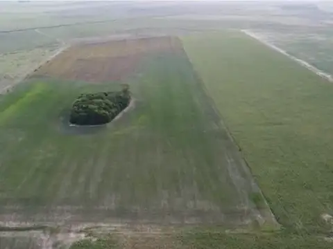 Ruta Provincial N°65 - 1,2 Km