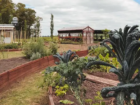 Terreno en Venta de 3203,0 m2