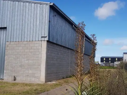 Galpon en Venta en Burzaco, USD 800.000