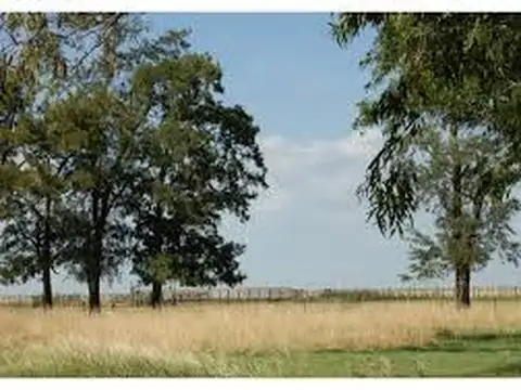 Campo en Venta de 1.000  ha