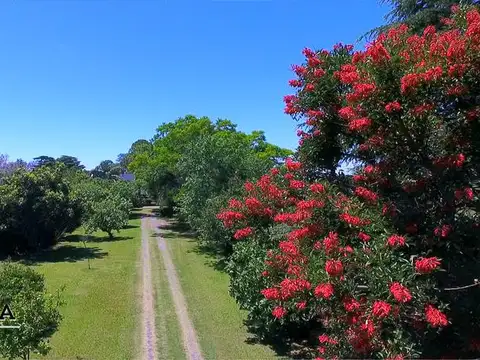 Casa 10 ambientes con 3 baños