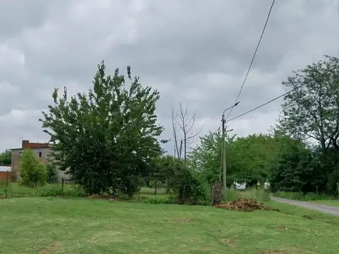 Terreno en Venta 25  mts Fondo