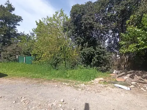 Lote en Venta en  Gorina