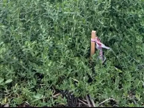 Terreno en Venta de 797,0 m2