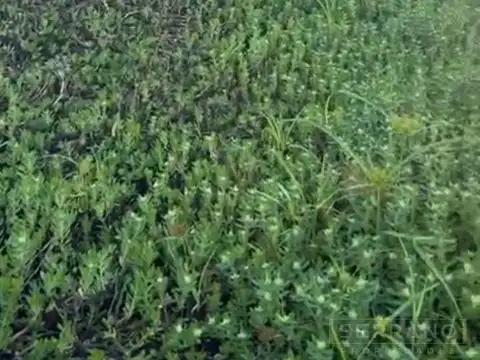 Terreno en Venta 28  mts Frente