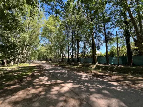 VENTA CASA QUINTA 4 AMBIENTES EN FRANCISCO ALVAREZ