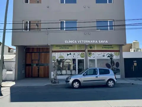 Departamento en alquiler - San Martín 620