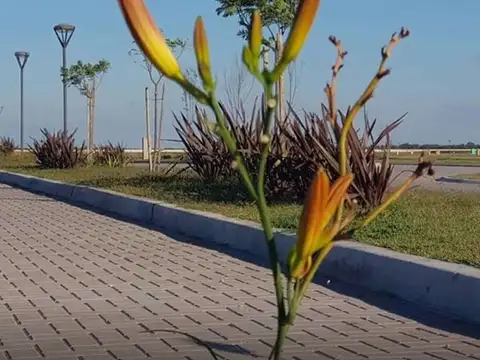 LOTE EN VENTA BARRIO LAS VICTORIAS, CANNING 