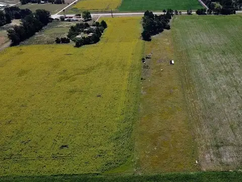 Quinta en Venta en Mar del Plata, USD 109.900