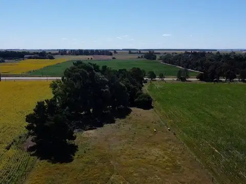 Ruta Provincial 88 100