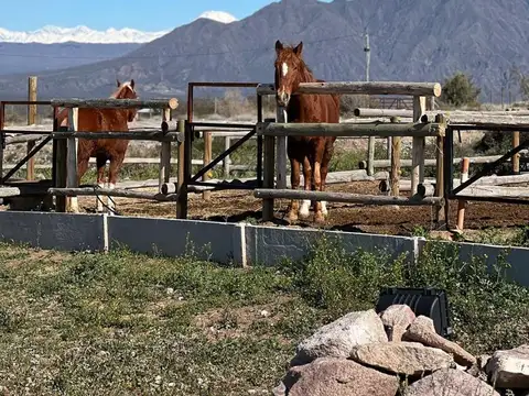 Terreno en Venta en Las Compuertas, USD 20.800