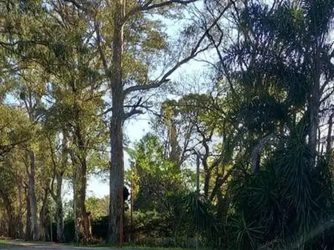 Terreno en Desvio Arijon