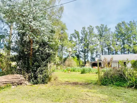 Terreno en Venta 43  mts Fondo