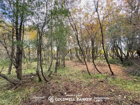 Terreno en Venta de 3000,0 m2